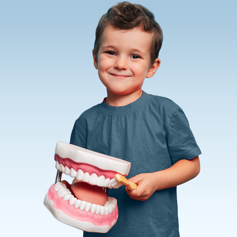 fluoride=free-cleaning - The Center For Dental Healing